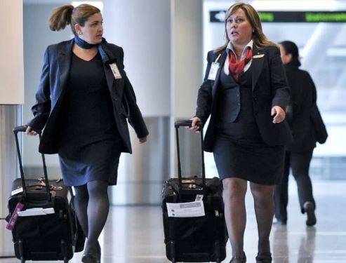 Obese Fly Can You Be a Plus Size Flight Attendant? Airline Weight Requirements